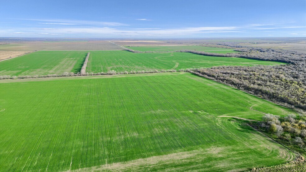 More Photos Of TBD Wall St Rd, Gunter Land For Sale