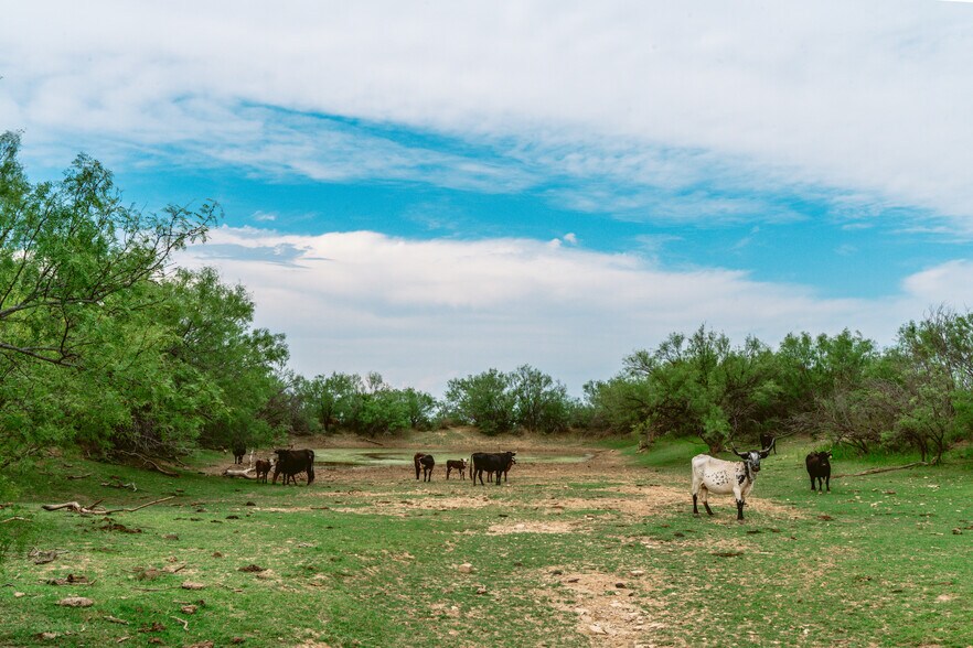 More Photos Of County Road 1865, Langtry Land For Sale