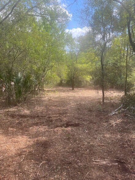 More Photos Of 0 Camellia, Crystal River Land For Sale