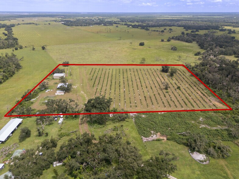 Primary Photo Of 32715 Singletary Rd. rd, Myakka City Land For Sale