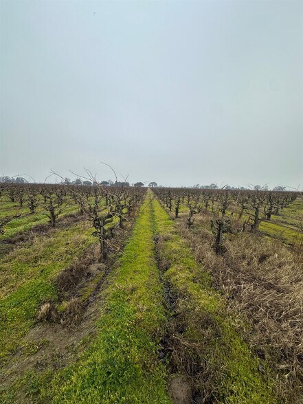 More Photos Of 17600 Devries rd, Lodi Land For Sale