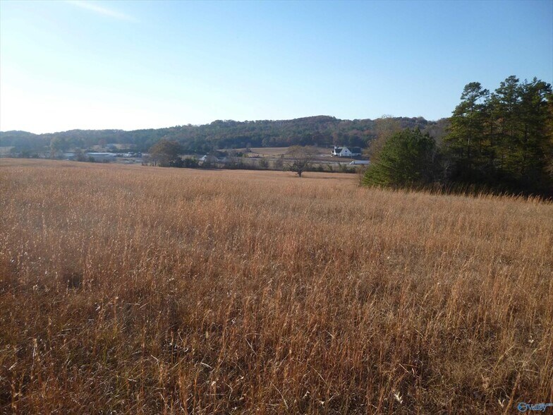 More Photos Of 5504 Martin Ave NE, Fort Payne Land For Sale