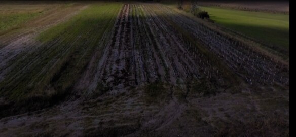 More Photos Of 6103 Alpine Ave NW, Comstock Park Land For Sale