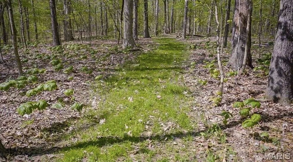 More Photos Of 6959 W Fellin Drive, Mount, Mount Olive Land For Sale