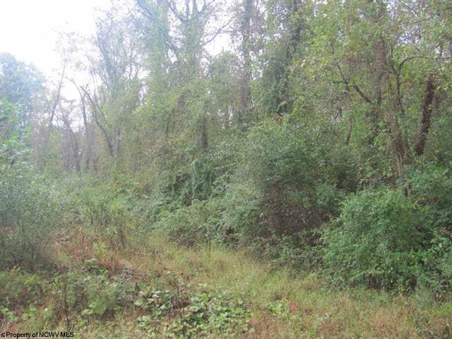 More Photos Of Rosedale Hill, Morgantown Land For Sale