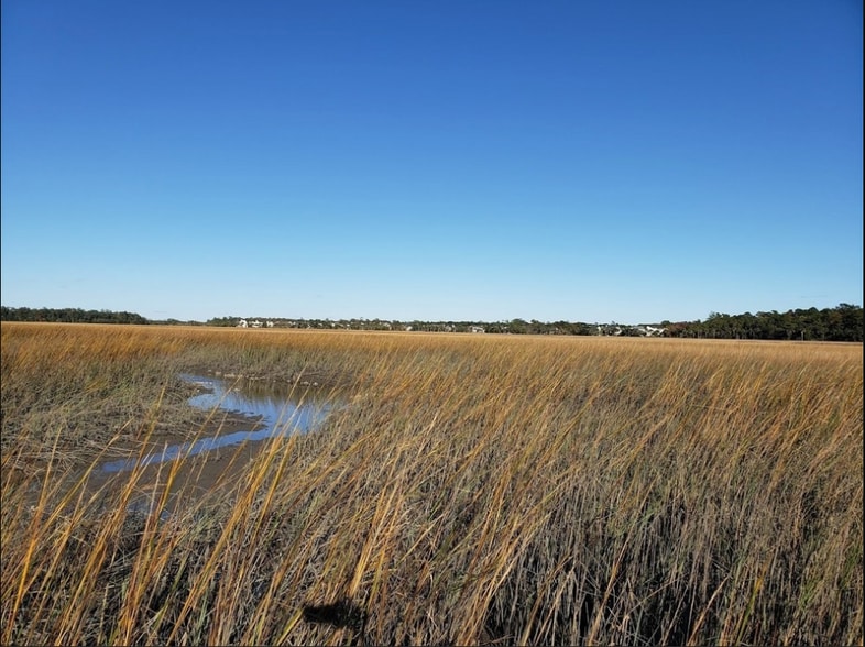 More Photos Of 1640 Evelina St, Mount Pleasant Land For Sale