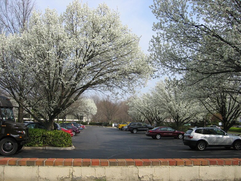 More Photos Of 11260 Roger Bacon Dr, Reston Office For Lease