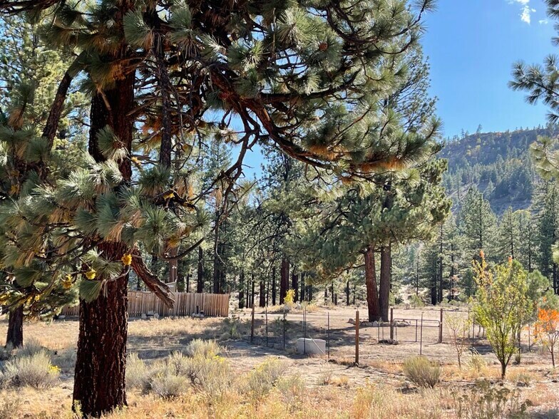 More Photos Of 415-025 Scott Rd, Doyle Land For Sale