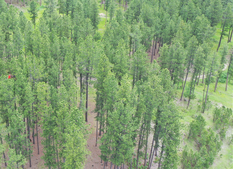 More Photos Of 21301 Vanocker Canyon Road, Sturgis Land For Sale