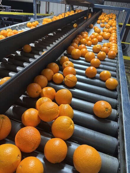 More Photos Of 8507 Rd 256, Terra Bella Food Processing For Sale