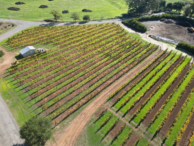 More Photos Of 14335 Sonoma Highway 12, Glen Ellen Winery Vineyard For Sale