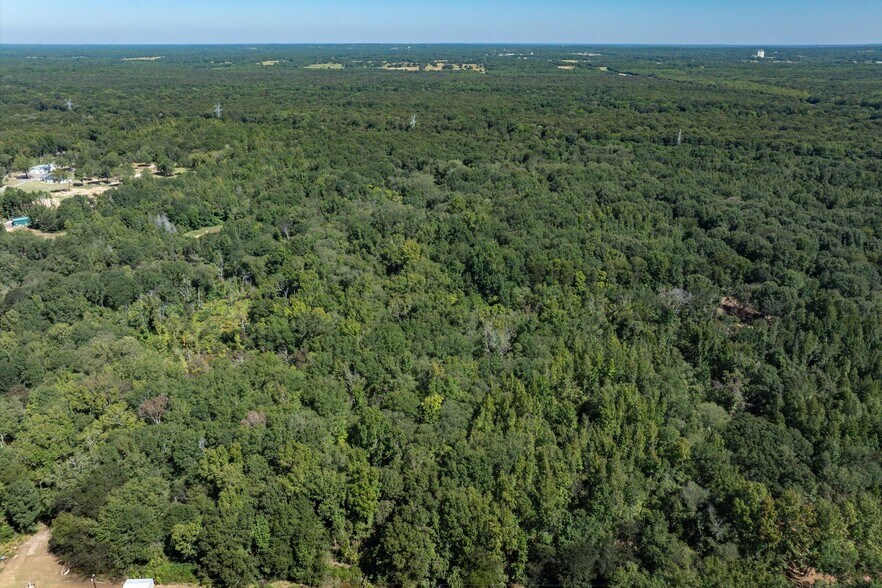 More Photos Of Tract 1 County Road 484, Mineola Land For Sale