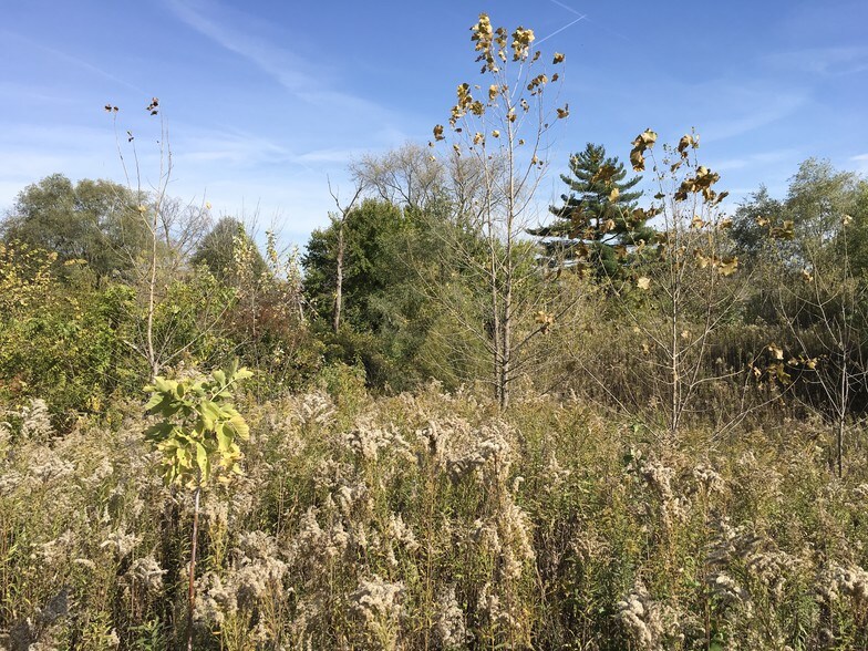 More Photos Of 2555 E New York St, Aurora Land For Sale