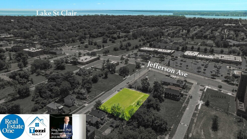 More Photos Of 1075 Coplin St, Detroit Land For Sale