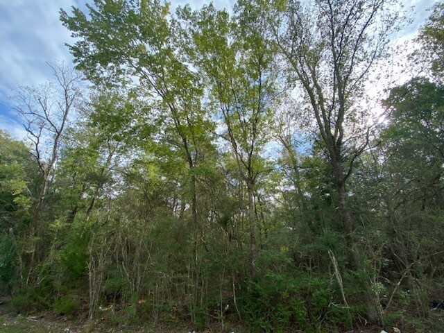 More Photos Of 1300 Langham, Beaumont Land For Sale