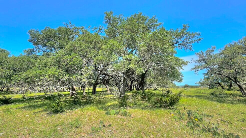 More Photos Of County Road 253, Bertram Land For Sale