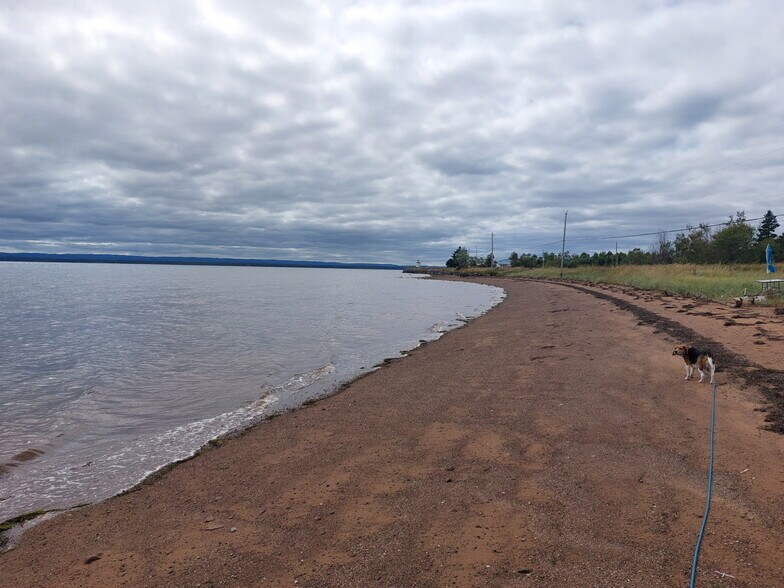 Primary Photo Of 3883 Malagash Road, Wallace Grant Land For Sale