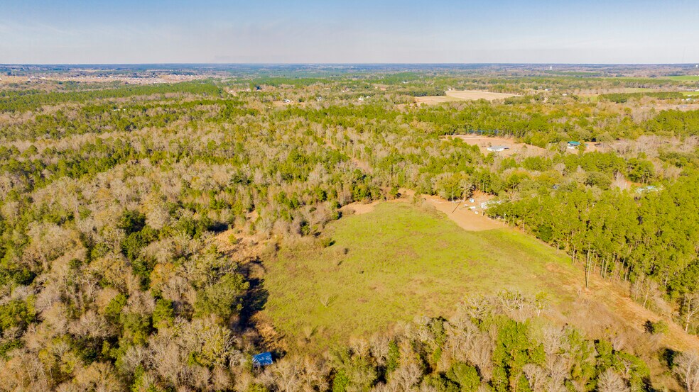 More Photos Of 12960 County Road 48, Silverhill Land For Sale