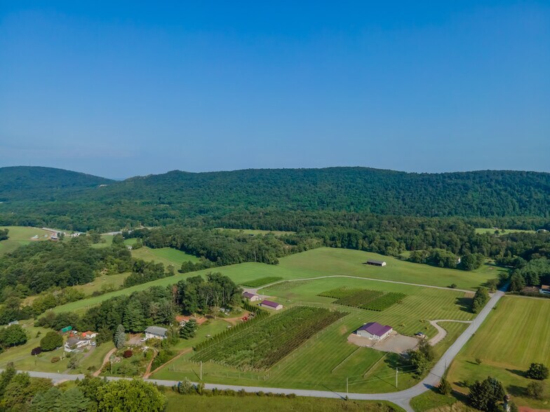 More Photos Of 596 Harman Rd, Halifax Winery Vineyard For Sale