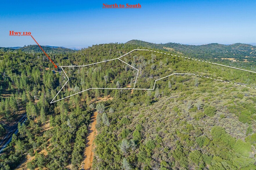 Primary Photo Of 00000 Highway 120, Groveland Land For Sale