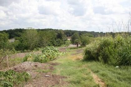 More Photos Of 5590 N Pine Hills Rd, Orlando Land For Sale