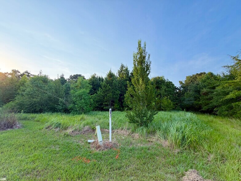 More Photos Of 0 Odom Lane, Chatom Land For Sale