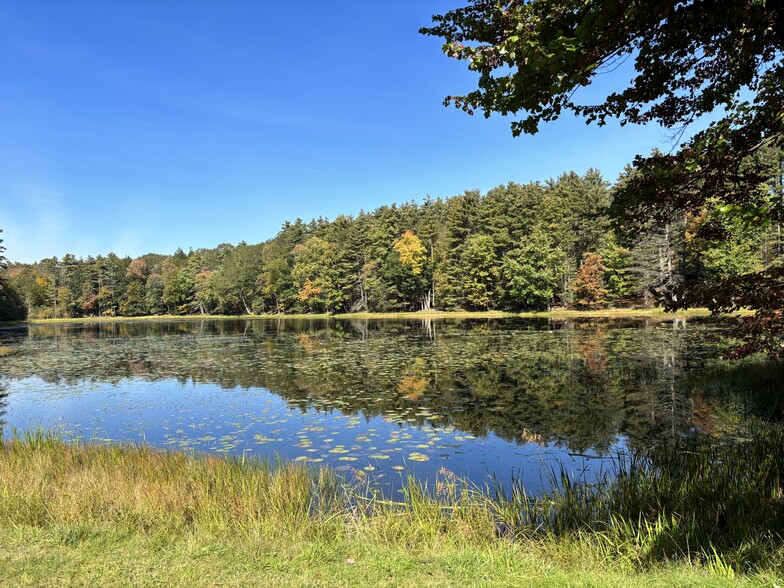 More Photos Of 189 Blind Pond Rd, Narrowsburg Lodge Meeting Hall For Sale