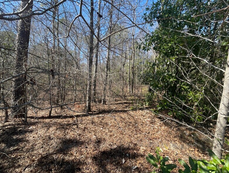 More Photos Of 00 Bradleyville Road, North Augusta Land For Sale