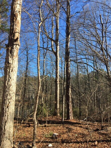 More Photos Of 2748 E Atlanta Rd, Stockbridge Land For Sale
