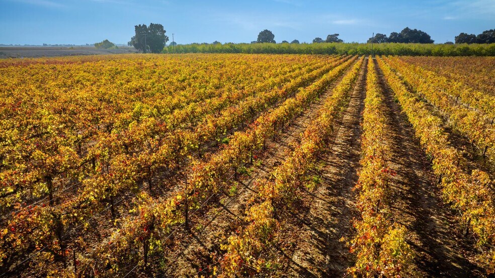 More Photos Of Claussen Ranch Vineyard, Stockton Land For Sale