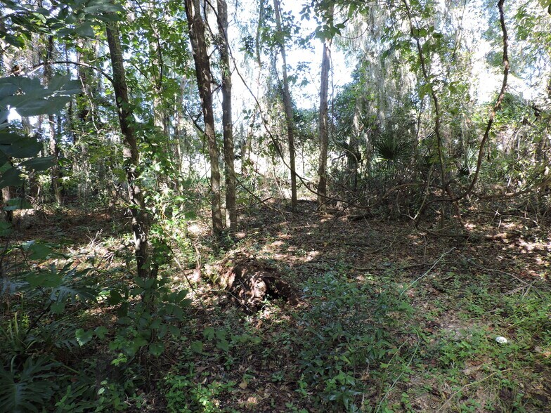 More Photos Of 2935 New Berlin Rd, Jacksonville Land For Sale