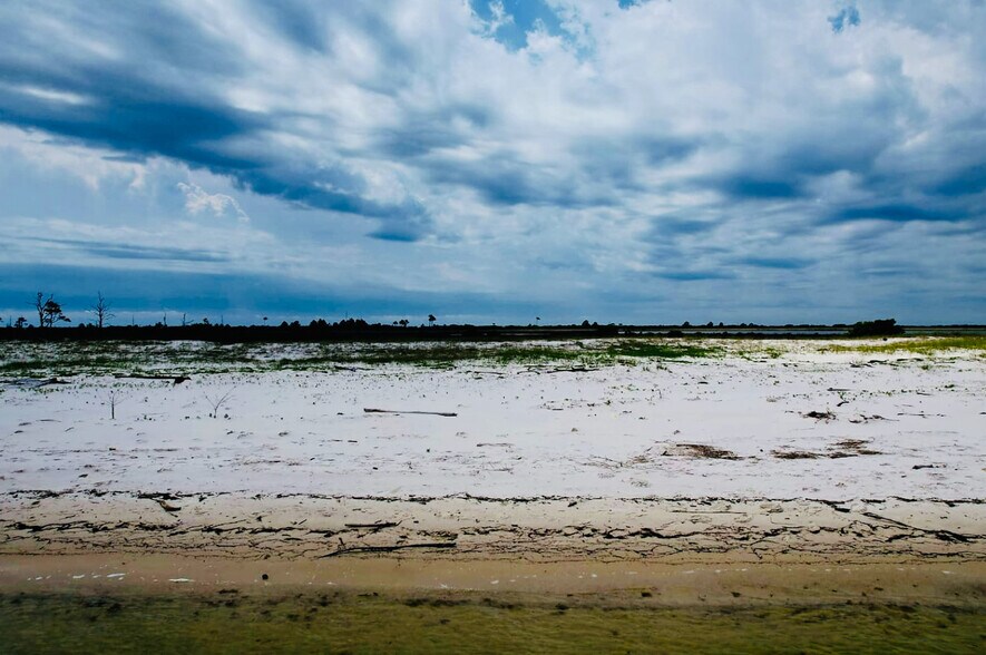 Primary Photo Of Horn Island, Pascagoula Land For Sale