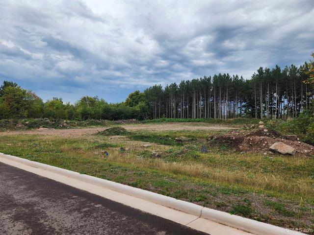 More Photos Of TBD9 Dolomite Dr, Hancock Land For Sale