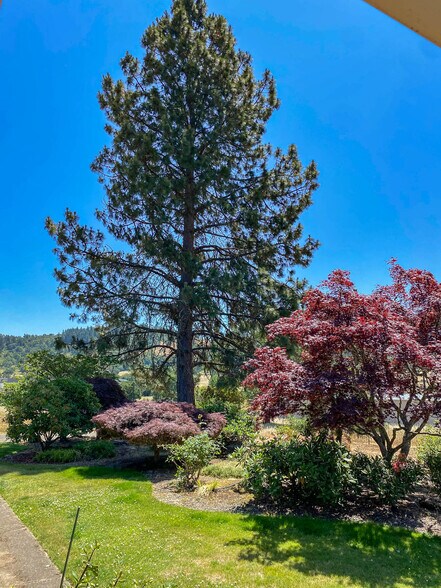 More Photos Of 8017 Old Highway 99 N, Roseburg Distribution For Sale