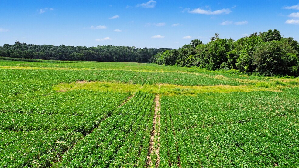 Primary Photo Of 0 Coffman Rd, Borden Land For Sale