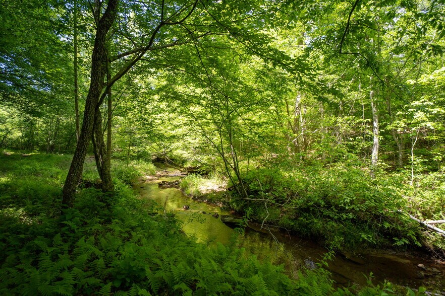 More Photos Of tbd Green Creek Rd, Schuyler Land For Sale