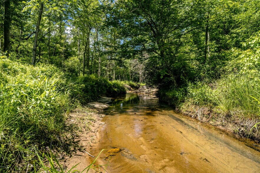 More Photos Of tbd Green Creek Rd, Schuyler Land For Sale