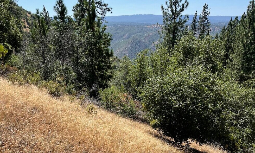 More Photos Of 00000 Forrest Road 1N19, Tuolumne Land For Sale