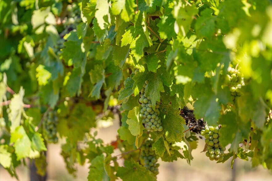 More Photos Of 31630 Forwards Rd, Manton Land For Sale