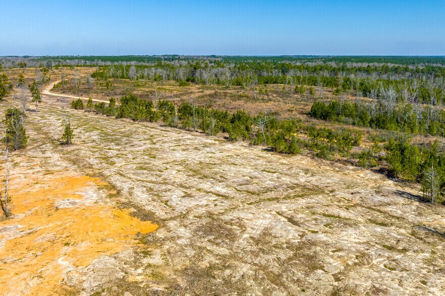 More Photos Of 0 U.S. HWY 59, Loxley Land For Sale