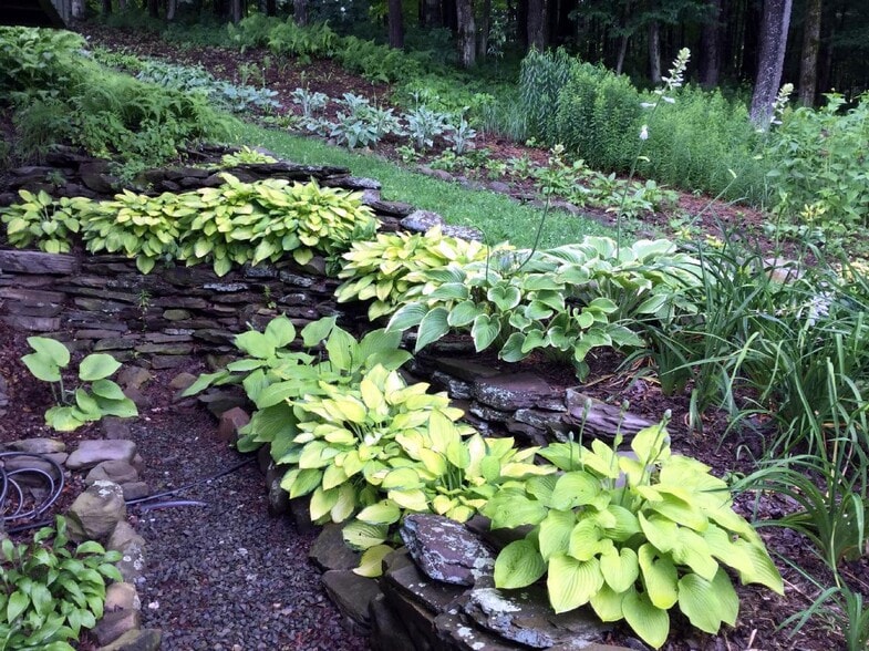 More Photos Of 304 Sutherland Rd, East Meredith Specialty For Sale