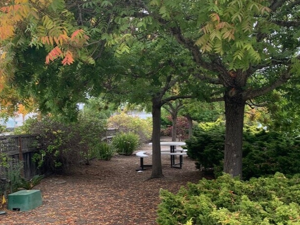 More Photos Of 600 Frederick St, Santa Cruz Medical For Sale