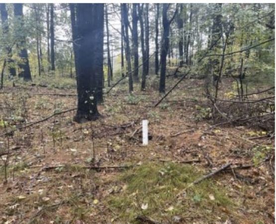 More Photos Of 483 Thurston, Wrentham Land For Sale