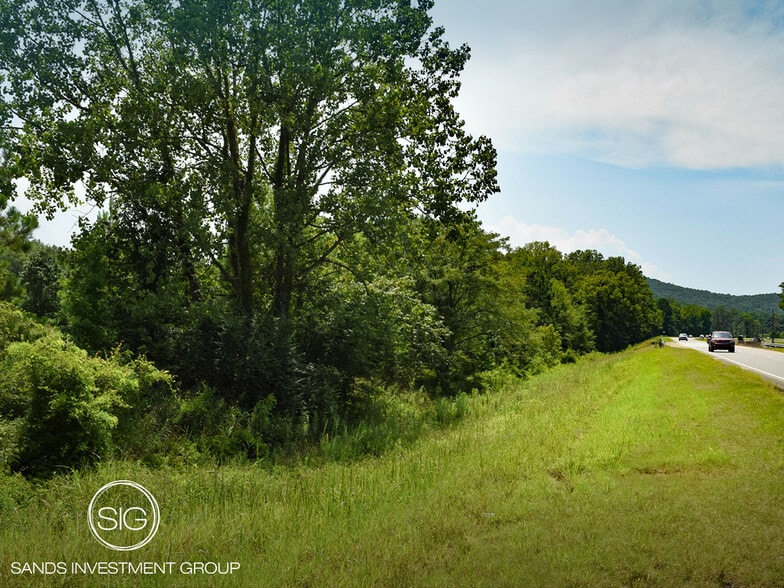 Primary Photo Of 2006 Old Highway 431, Owens Cross Roads Land For Sale