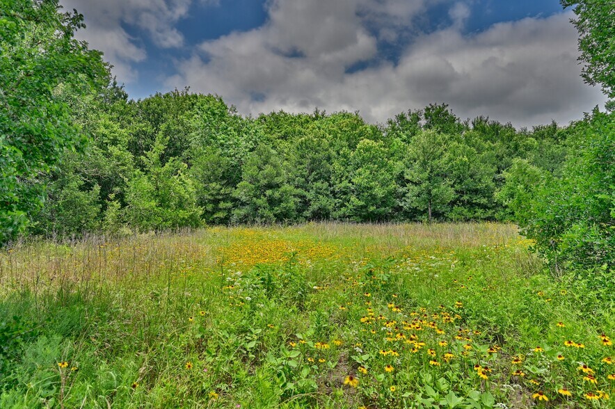 More Photos Of 14619 Highway 36 South, Somerville Specialty For Sale
