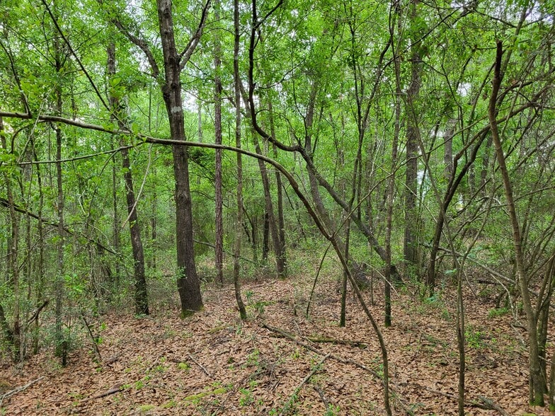 More Photos Of 301 E Redstone Ave, Crestview Land For Sale