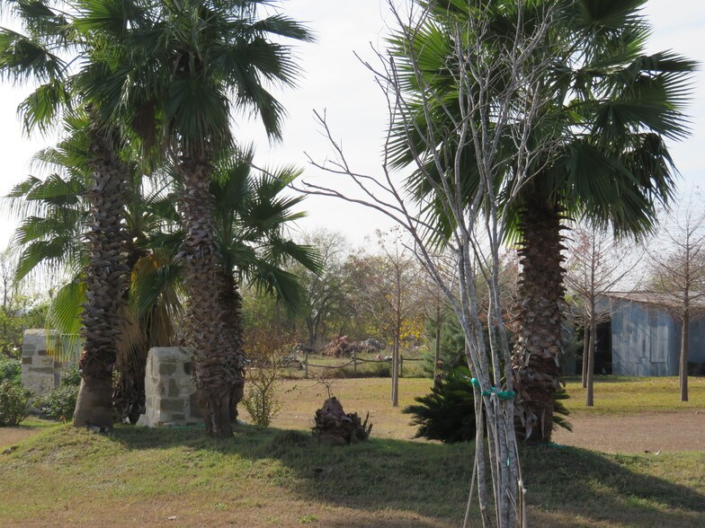 More Photos Of 11378 Shaenfield Rd, San Antonio Land For Sale