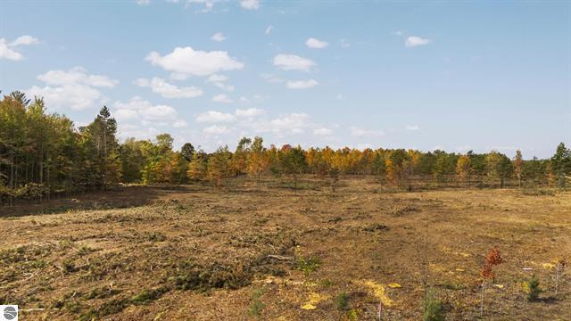 More Photos Of 00 W Michigan 115, Mesick Land For Sale