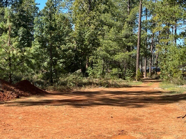 More Photos Of 10715 Brunswick Rd, Grass Valley Land For Sale