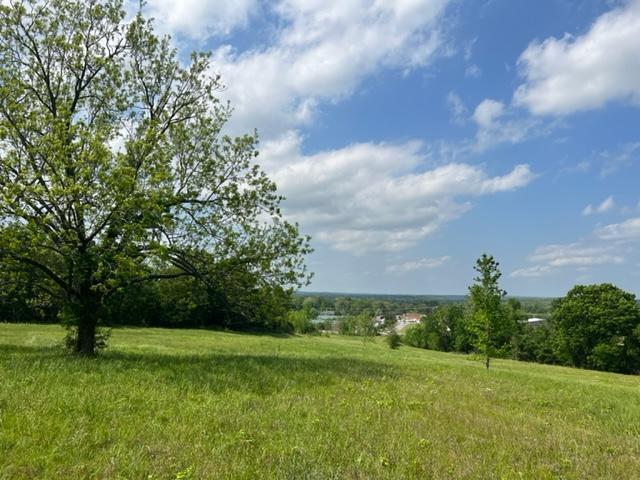 More Photos Of Harrison St / US HWY 69, Batesville Land For Sale